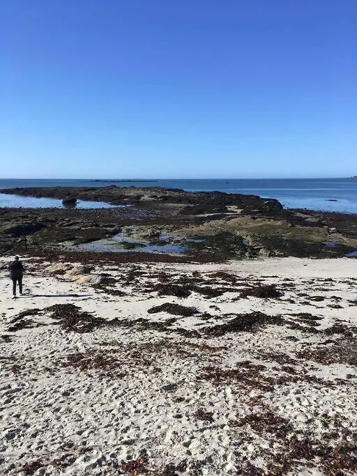 Le Recif, Maison Independante Corniche De La Mer Concarneau
